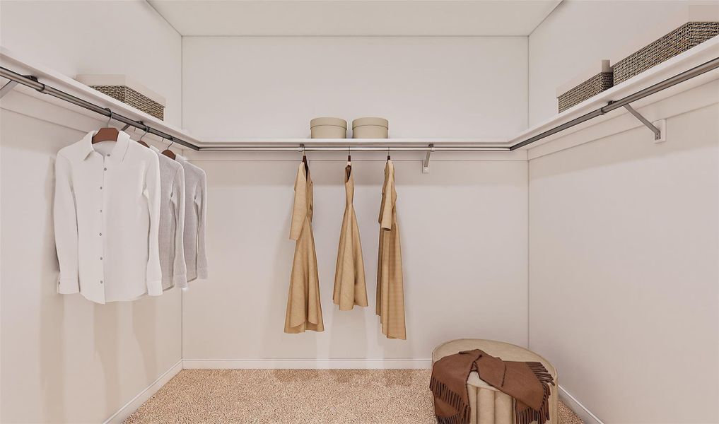 Primary walk-in closet (*Artist rendering used for illustration purposes only.)