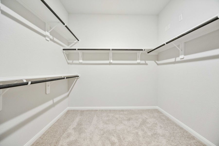 8407 Black Pearl Ct - Wilson - Primary Closet