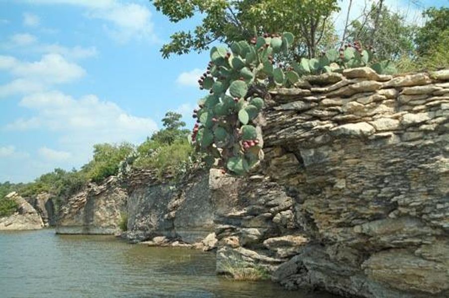 Natural landscape and outdoor views near  in Bridgeport (Image 26).