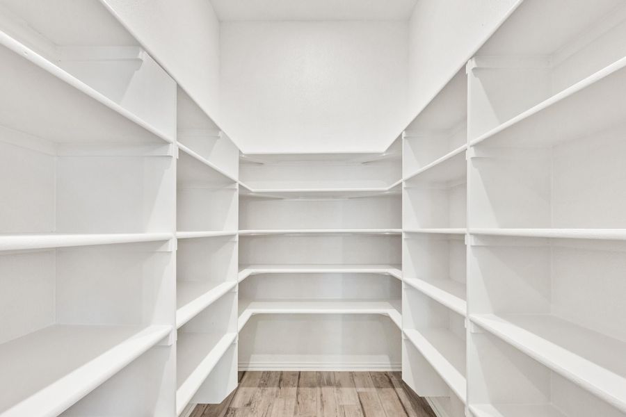 Walk-in pantry with white wrap-around shelving on three walls and wood-look flooring