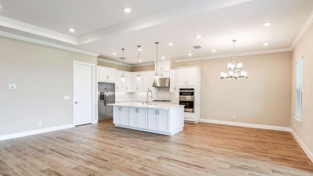 REPRESENTATIVE PHOTOS