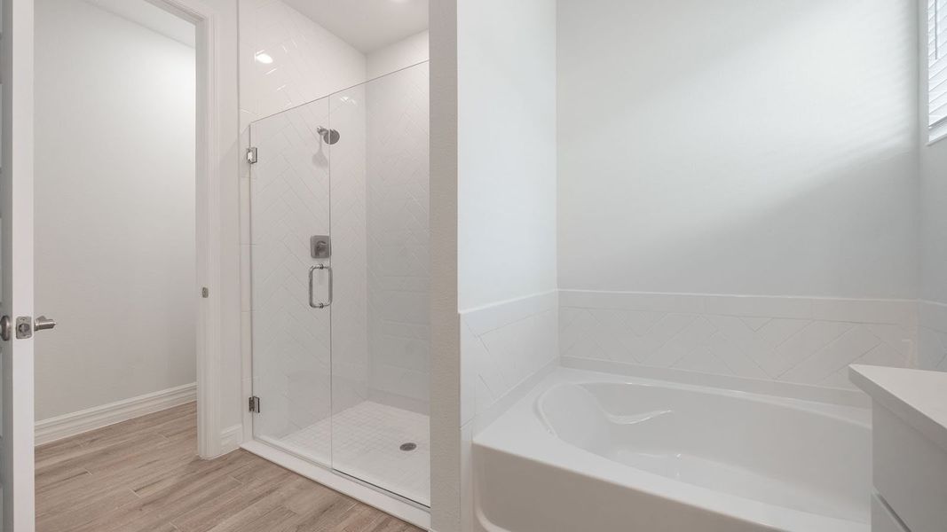 Image 35 representing the MADISON by D.R. Horton in Lakes of Mount Dora, Mount Dora, FL. Image 35 representing the MADISON by D.R. Horton in Lakes of Mount Dora, Mount Dora, FL.