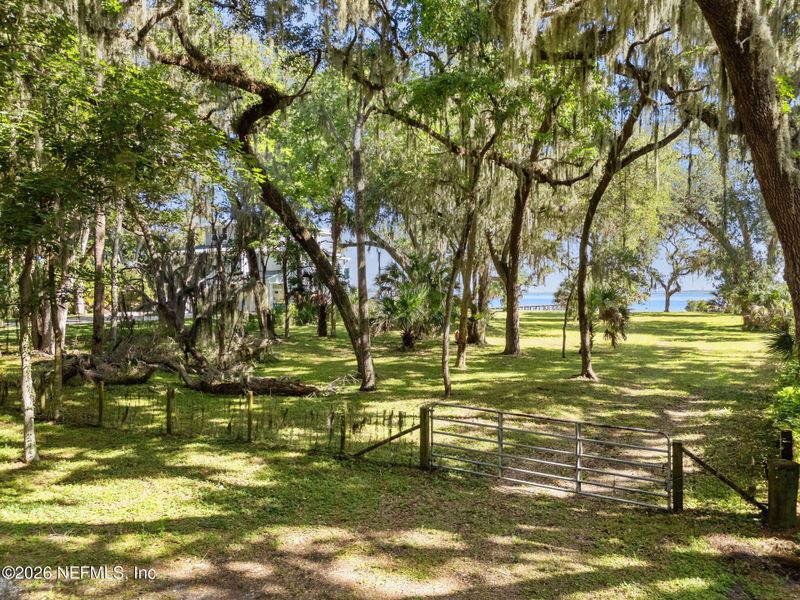 Natural landscape and outdoor views near  in Jacksonville (Image 12).