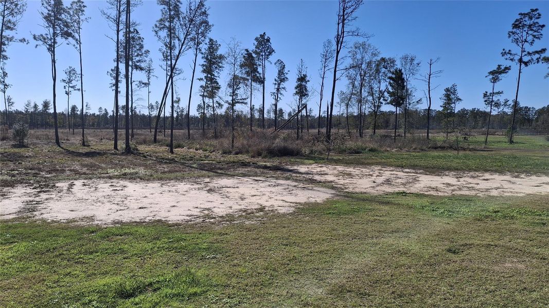Natural landscape and outdoor views near Pine Rock Estates in Conroe (Image 20). Natural landscape and outdoor views near Pine Rock Estates in Conroe (Image 20).