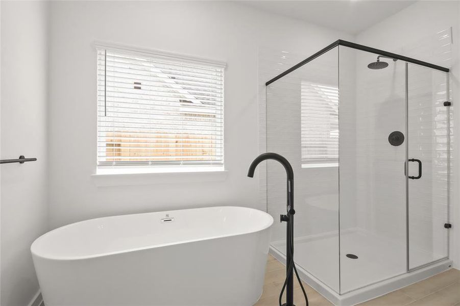 Separate tub and shower in primary bath