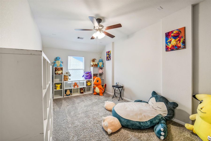 Flex room or media room