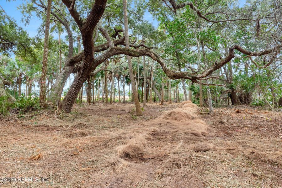 Natural landscape and outdoor views near  in Ponte Vedra Beach (Image 9).