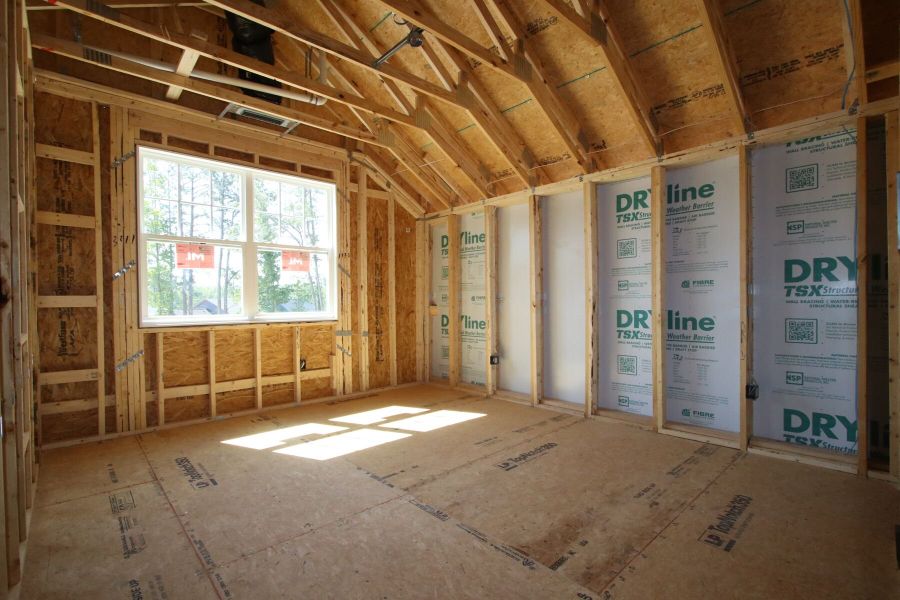 Framing Framing