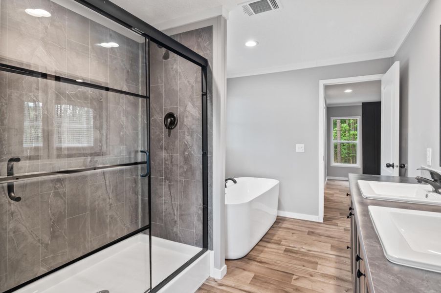 Furnished interior view inside a new home in , Eutawville (Image 3).