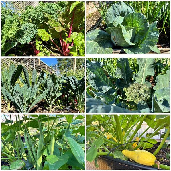 Image 93 of a home in .