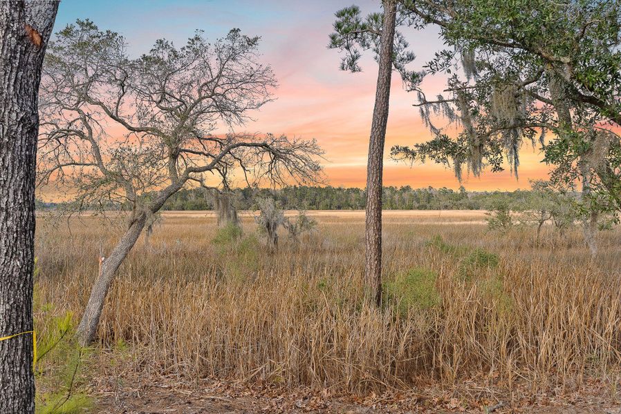 Natural landscape and outdoor views near  in Ravenel (Image 39).