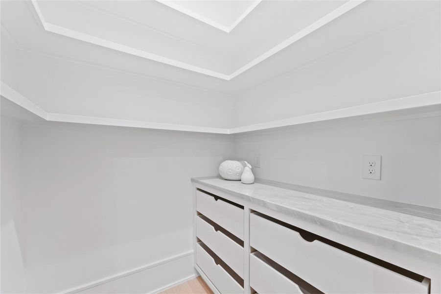 GREAT SIZE PANTRY W/ CUSTOM CABINETS AND COUNTERTOPS