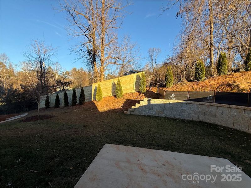 new fencing and trees added for privacy