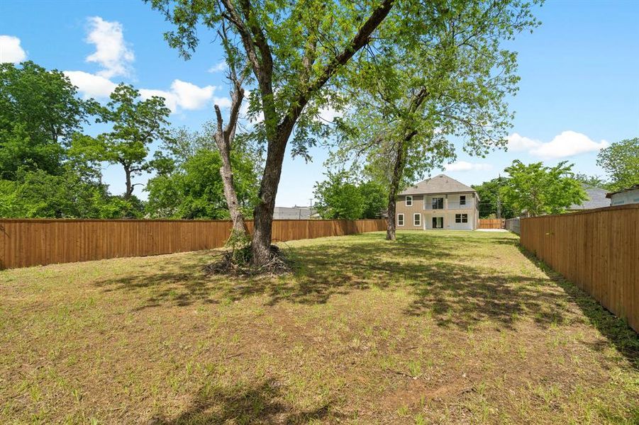 Huge yard.