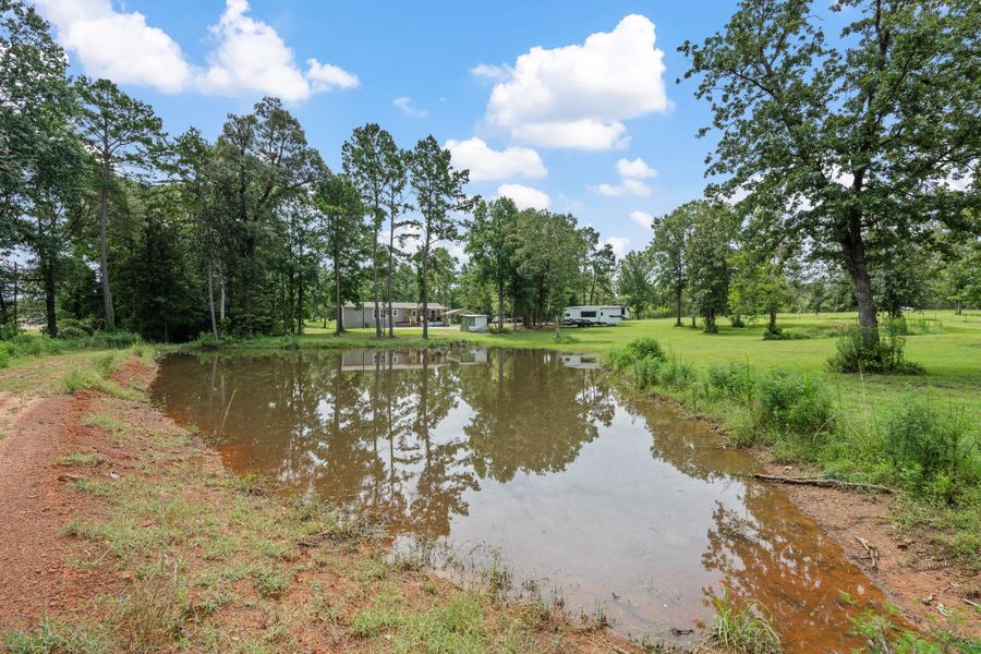 Pond Pond