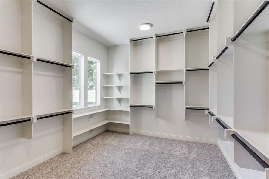 Walk-in closet featuring light carpet. You have access to the utility room as well