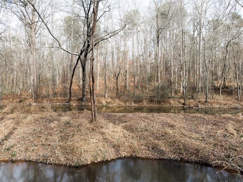 Natural landscape and outdoor views near  in Covington (Image 52).