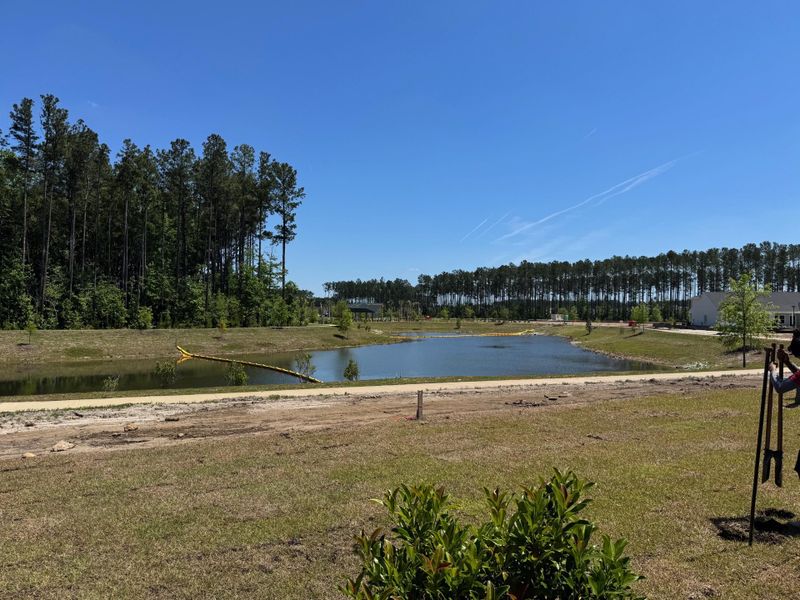 Natural landscape and outdoor views near in Summerville (Image 21). Natural landscape and outdoor views near in Summerville (Image 21).