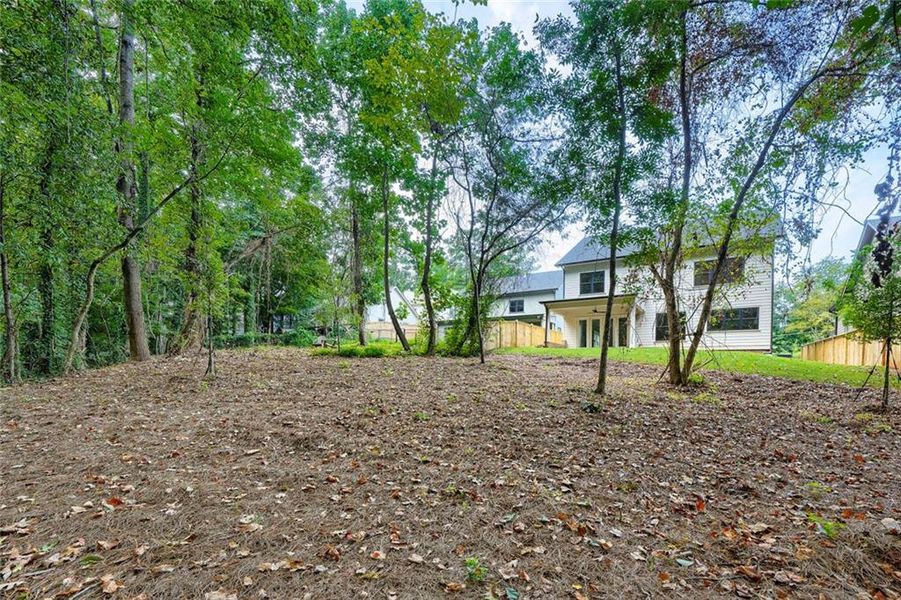 Natural landscape and outdoor views near  in Atlanta (Image 45).