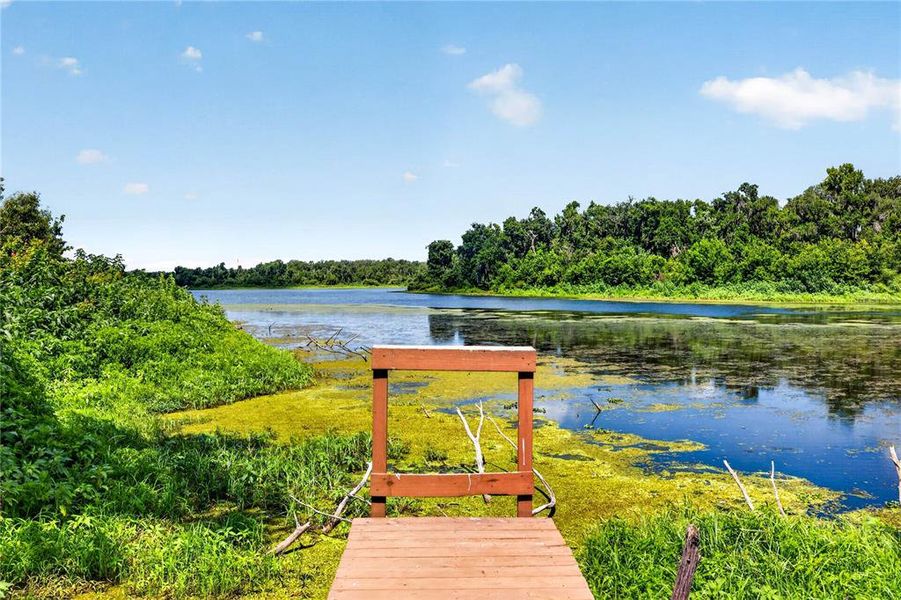 Natural landscape and outdoor views near  in Dade City (Image 60).