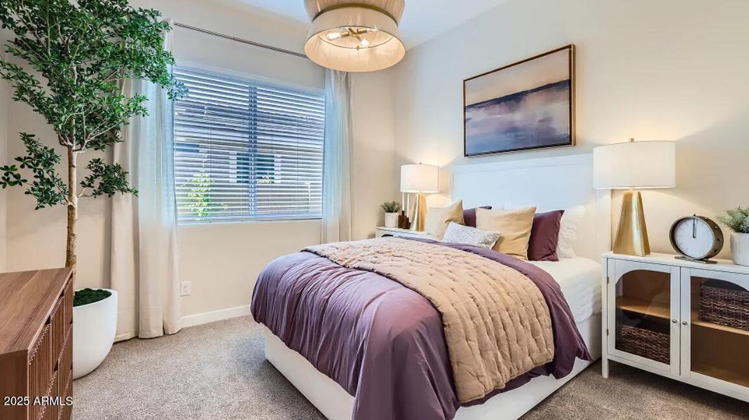 Next Gen Suite Next Gen Suite