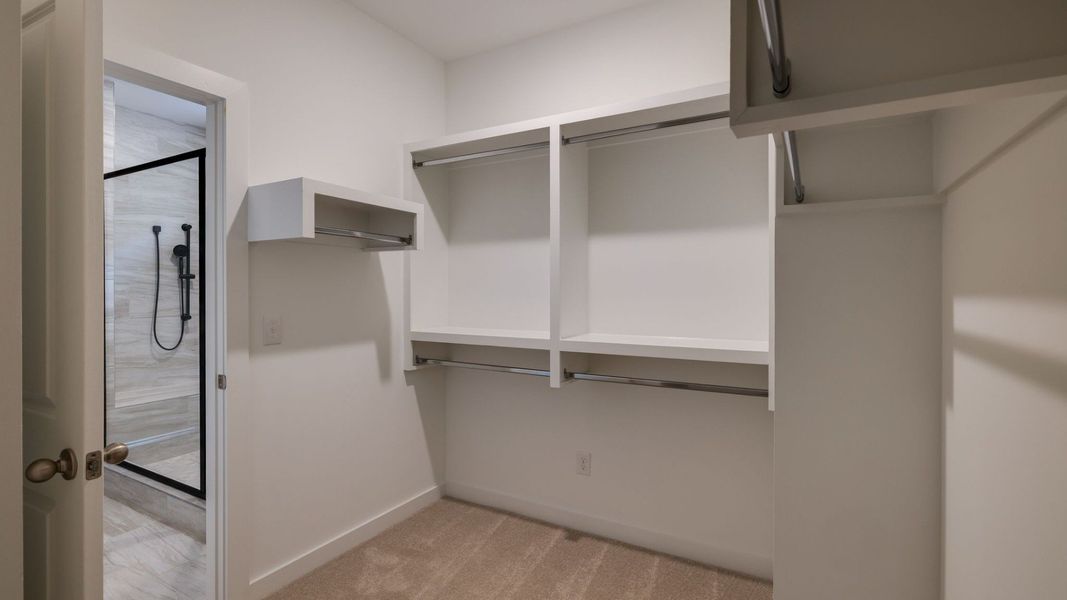 Furnished interior view inside a new home in Riley Farms, Rockvale (Image 27).