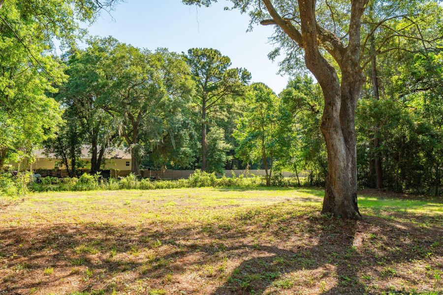 Natural landscape and outdoor views near  in Mount Pleasant (Image 62).