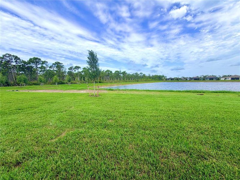 Natural landscape and outdoor views near  in Englewood (Image 17).