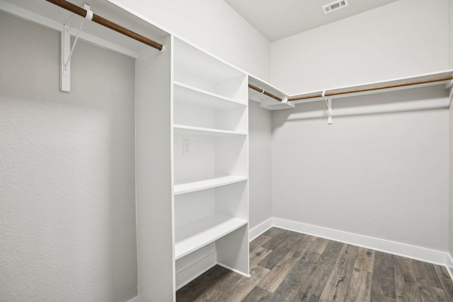 Spacious closet featuring dark wood-style floors