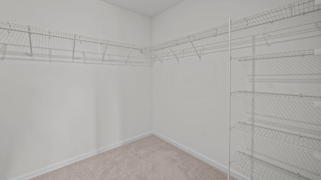 Spacious, unfurnished interior of a new home in Bedford Place, Wilson (Image 15).