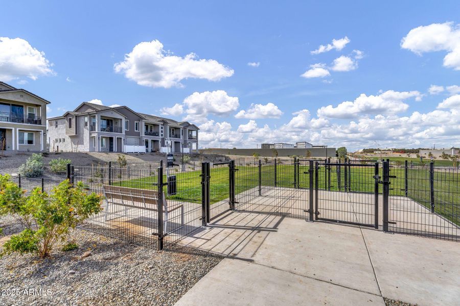 Green Belt Green Belt