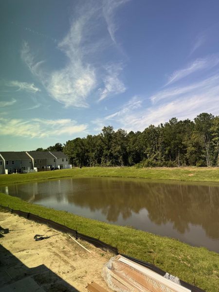 Natural landscape and outdoor views near The Landings at Montague in Goose Creek (Image 20).