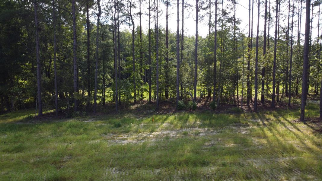 Natural landscape and outdoor views near  in Cross (Image 20).