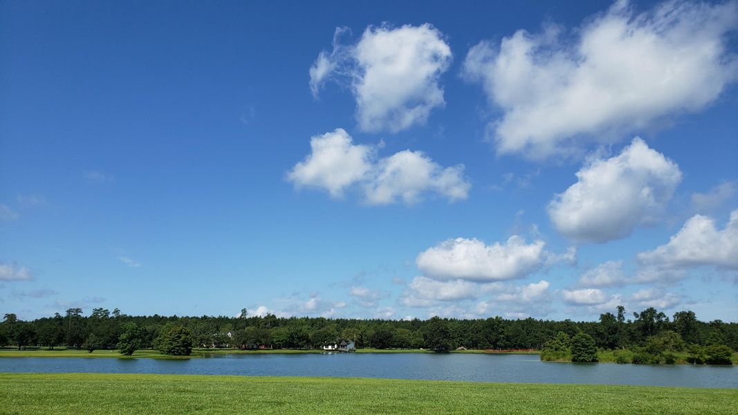 Natural landscape and outdoor views near  in Ridgeville (Image 14).