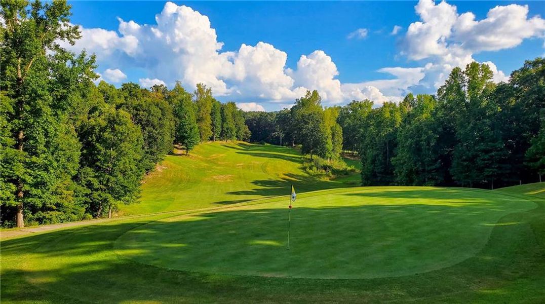 Natural landscape and outdoor views near  in Newnan (Image 42).