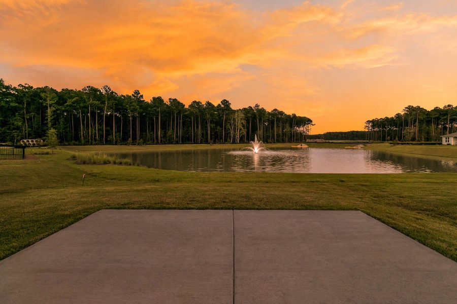 Natural landscape and outdoor views near  in Summerville (Image 52).