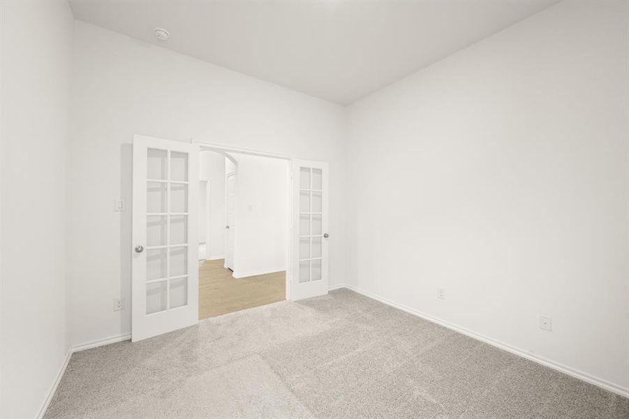 4540 Lyre Leaf- Study-2