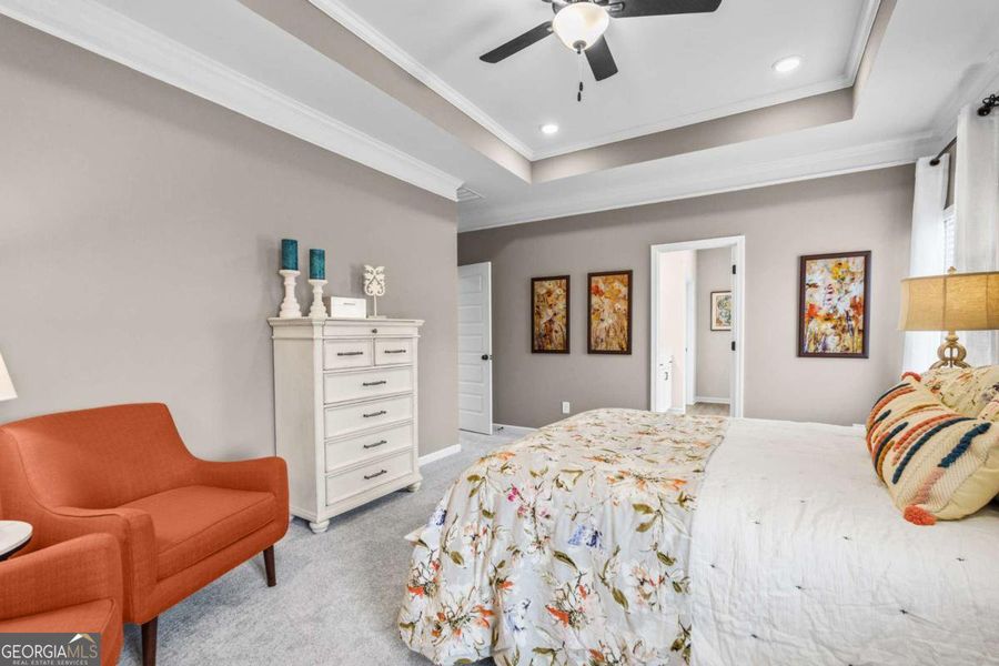 Furnished interior view inside a new home in Trellis Park, Hampton (Image 33).