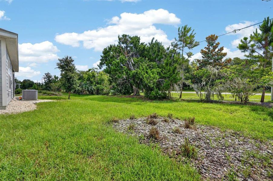 Natural landscape and outdoor views near  in Ormond Beach (Image 38).