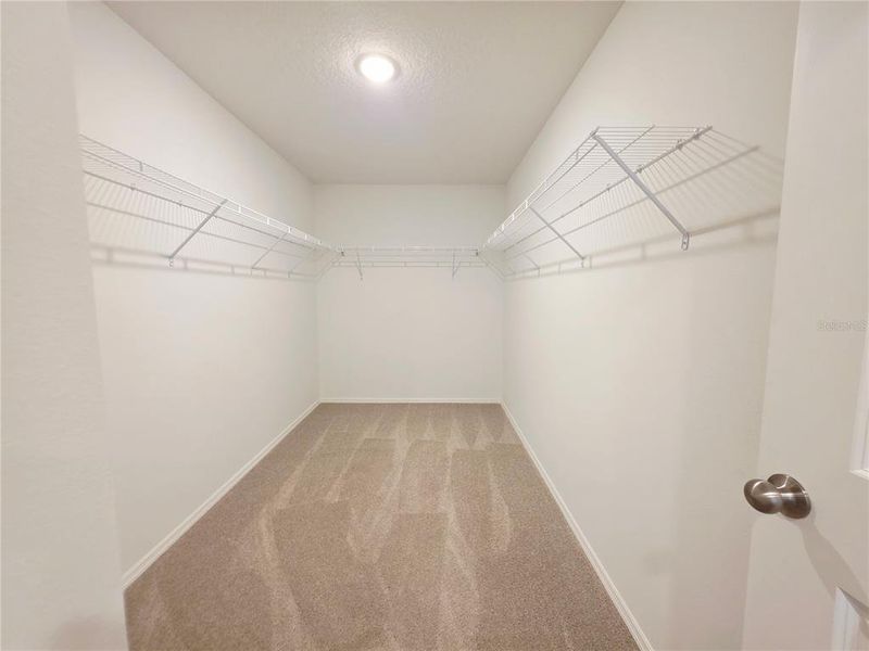 Spacious, unfurnished interior of a new home in Broadleaf, Parrish (Image 51).