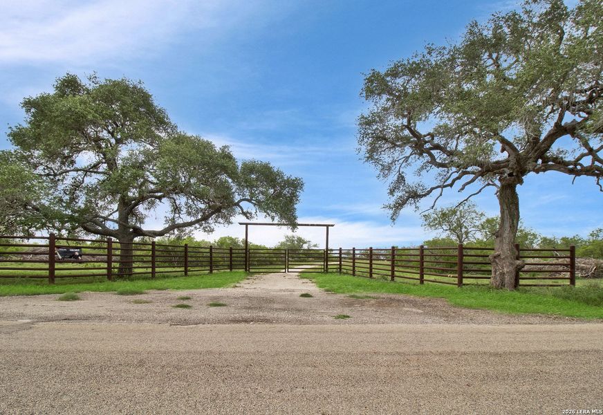 Natural landscape and outdoor views near  in Beeville (Image 23).