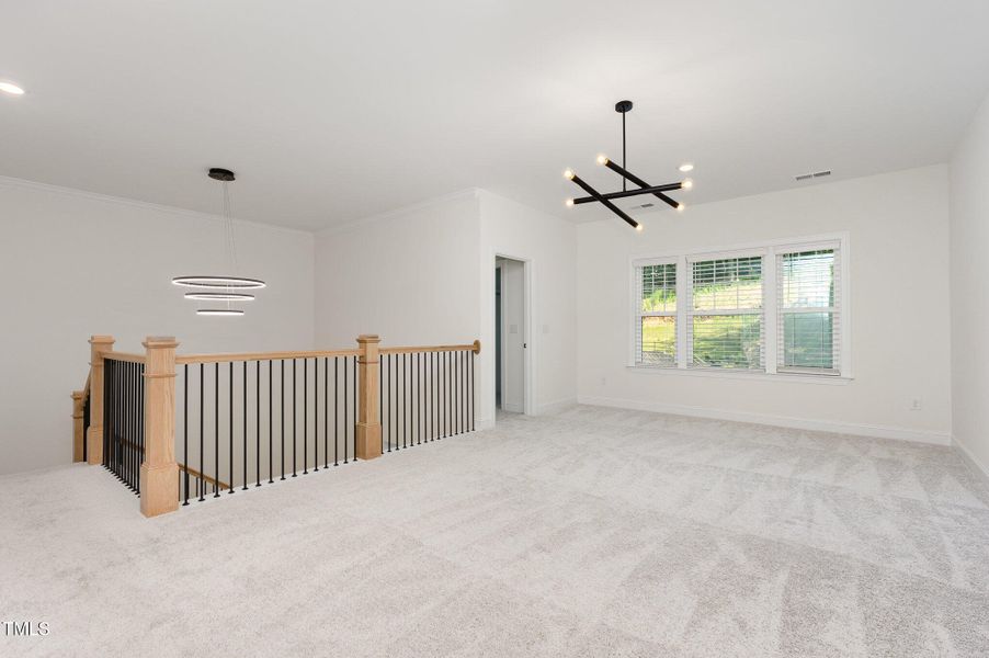 023_cj4a3844-edit_317 023_cj4a3844-edit_317