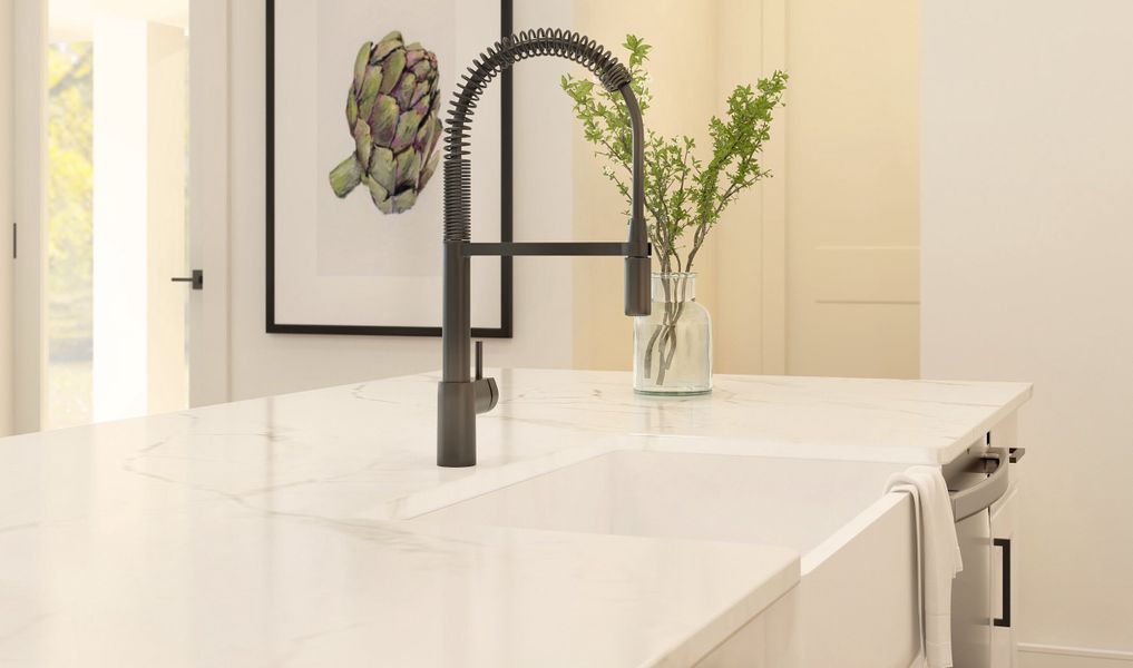 Black matte kitchen faucet