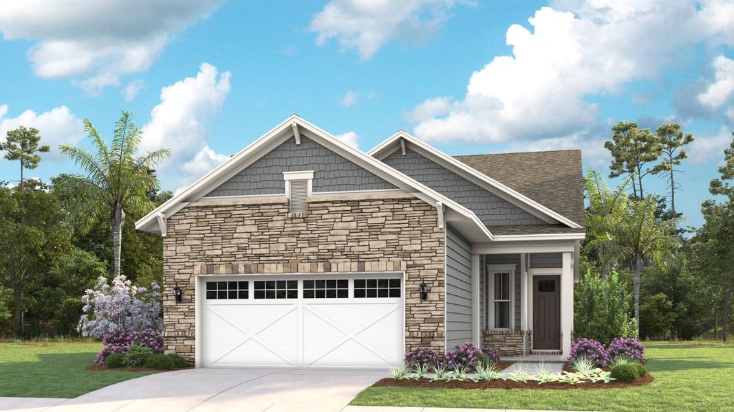 Elevation BS | Stone Elevation BS | Stone