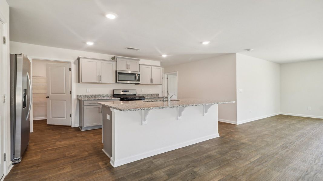 Image 28 representing the ROBIE by D.R. Horton in Gates Village, Lugoff, SC.