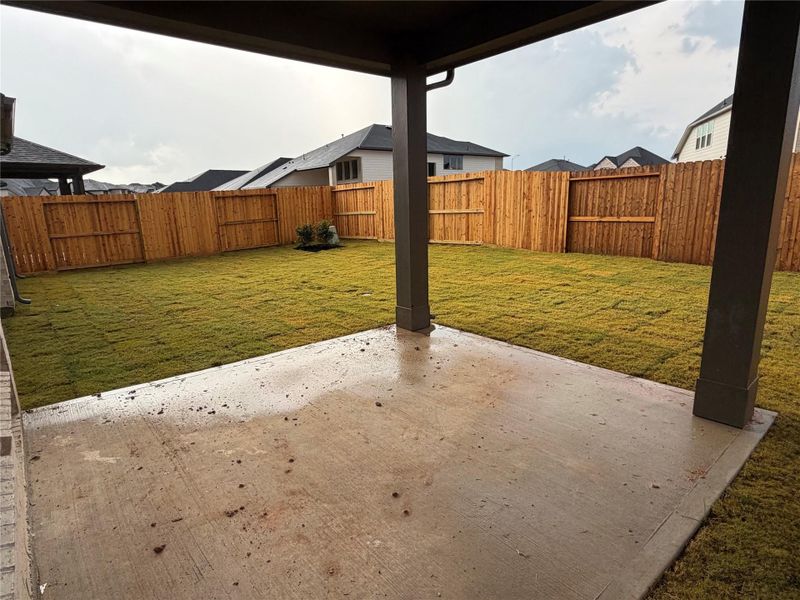 Backyard Views!