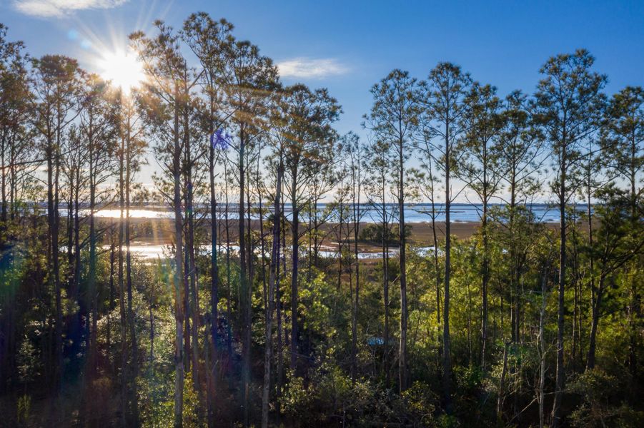 Natural landscape and outdoor views near Liberty Hill Farm in Mount Pleasant (Image 52).