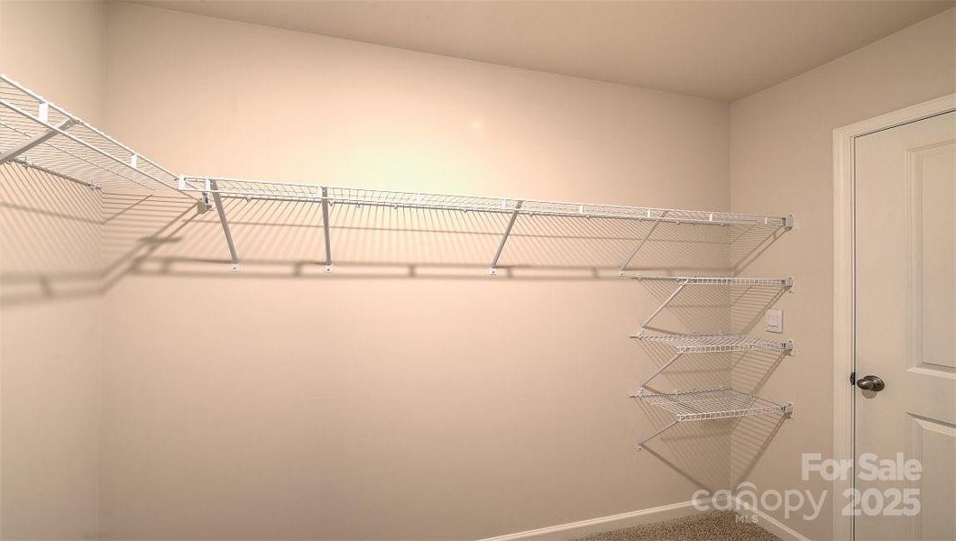 Photos are representative