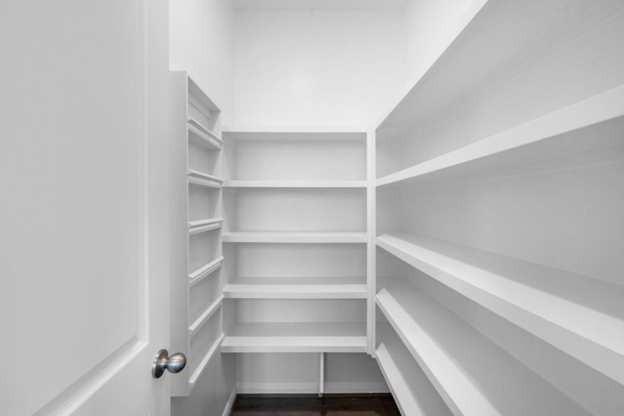 Exceptional walk-in pantry!
