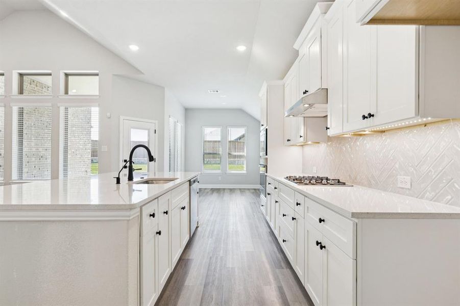 6-4221Equine_006 6-4221Equine_006